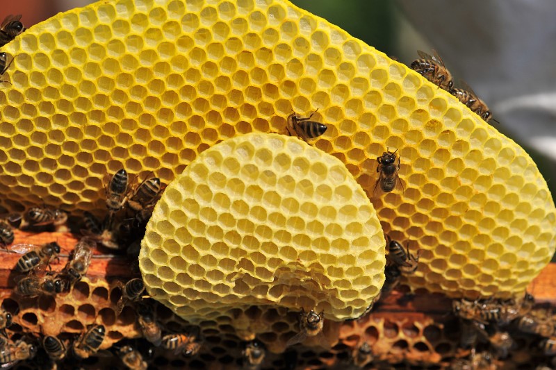 Beeswax