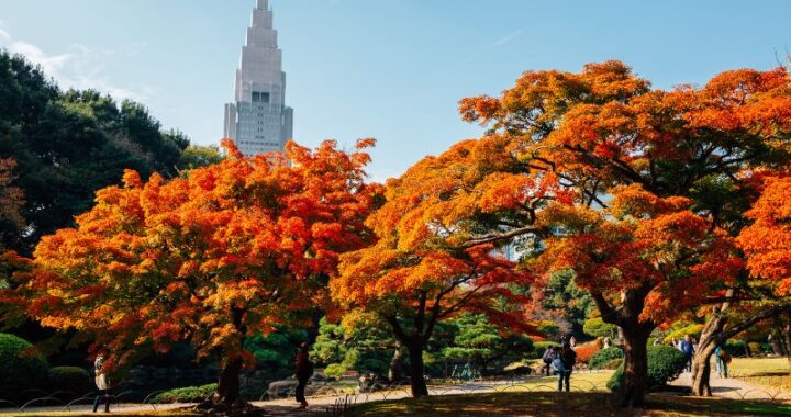 Shinjuku, Tokyo (Japan)