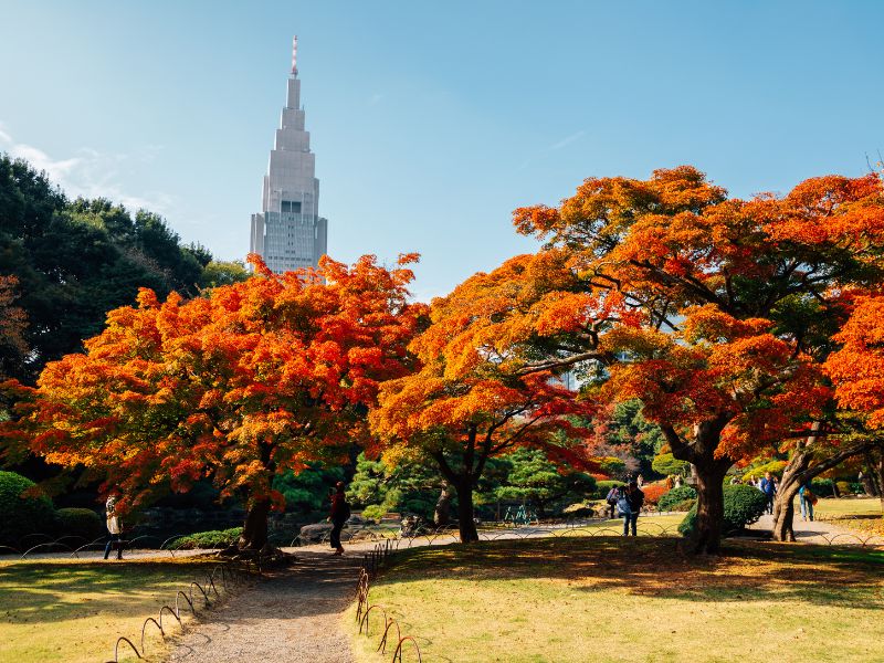 Shinjuku, Tokyo (Japan)